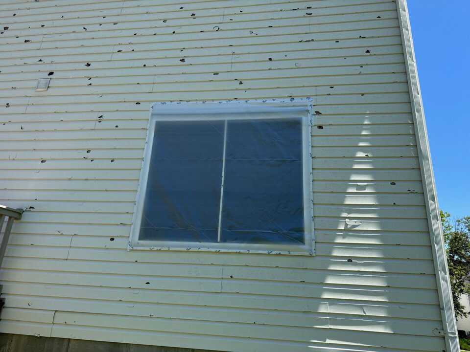IMG_7189 IMG_7189